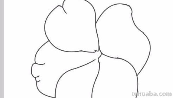 凤仙花怎么画简笔画 怎样画凤仙花？