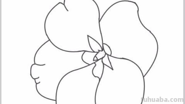 凤仙花怎么画简笔画 怎样画凤仙花？