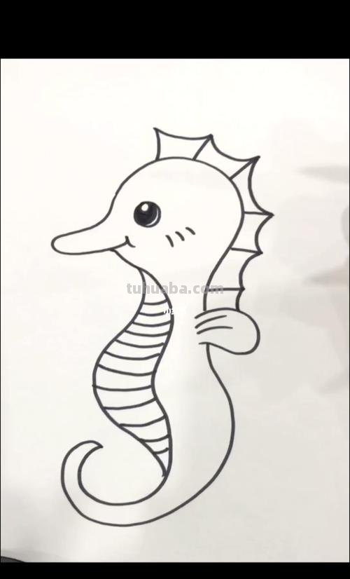 怎么画海马简笔画图片 如何画海马的简笔画?