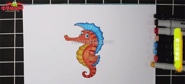 怎么画海马简笔画图片 如何画海马的简笔画？
