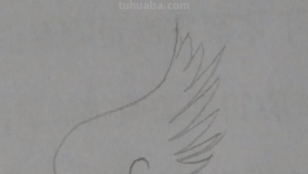 怎么画翅膀简笔画图片 翅膀，简笔画，步骤教程？