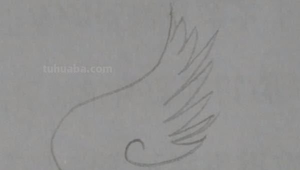 怎么画翅膀简笔画图片 翅膀，简笔画，步骤教程？