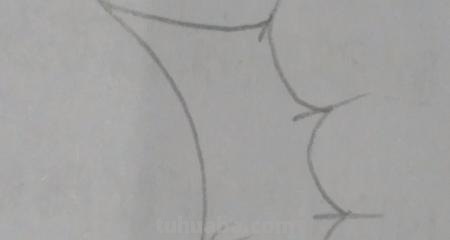 怎么画翅膀简笔画图片 翅膀，简笔画，步骤教程？