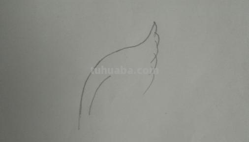 怎么画翅膀简笔画图片 翅膀，简笔画，步骤教程？