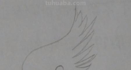 怎么画翅膀简笔画图片 翅膀，简笔画，步骤教程？
