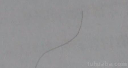 怎么画翅膀简笔画图片 翅膀，简笔画，步骤教程？