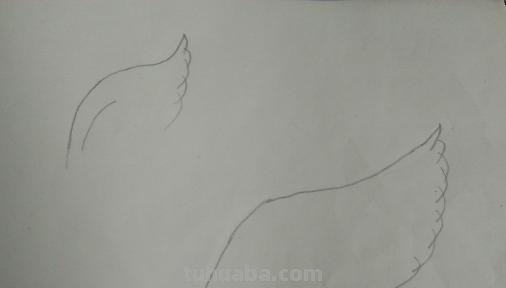 怎么画翅膀简笔画图片 翅膀，简笔画，步骤教程？