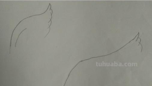 怎么画翅膀简笔画图片 翅膀，简笔画，步骤教程？