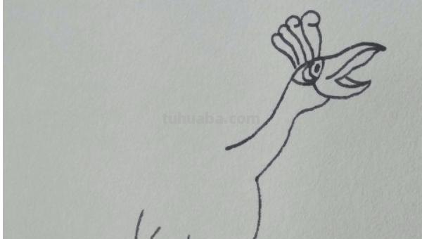 怎么画翅膀简笔画图片 翅膀，简笔画，步骤教程？