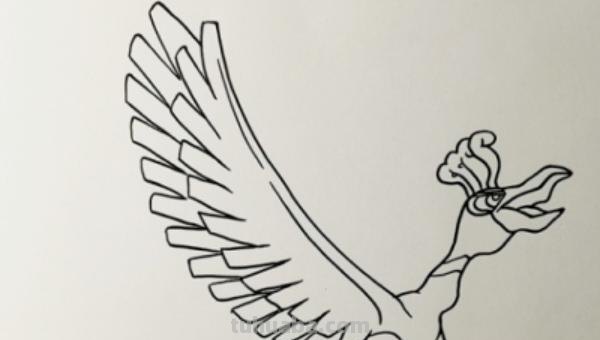 怎么画翅膀简笔画图片 翅膀，简笔画，步骤教程？