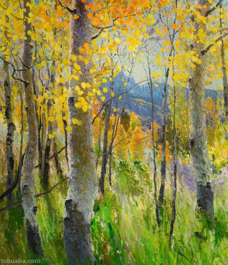 绚丽浪漫风景油画-格雷戈里·帕卡德印象派风景油画作品欣赏