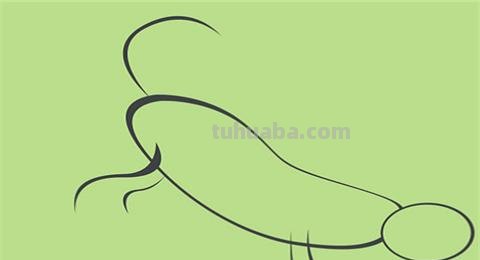 生肖老虎怎么画彩铅图 如何画一只老虎,画老虎教程？
