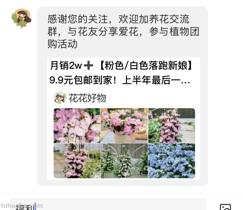 多肉别再扦插了，用这方法简单又高效，一盆变多盆！