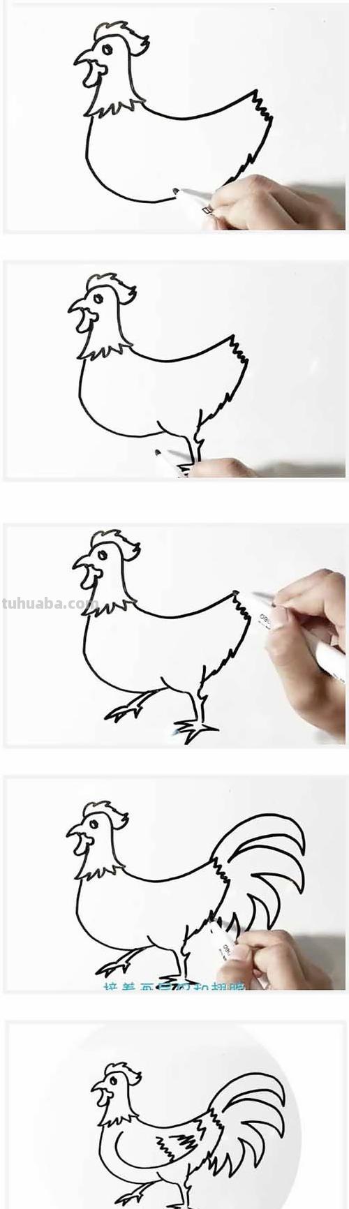 儿童简笔画教程:公鸡,简单又易学
