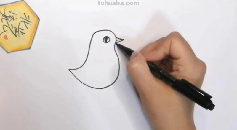 儿童简笔画教程：公鸡，简单又易学