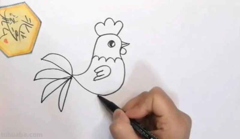 儿童简笔画教程：公鸡，简单又易学