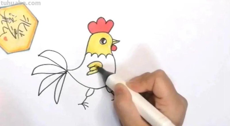 儿童简笔画教程：公鸡，简单又易学