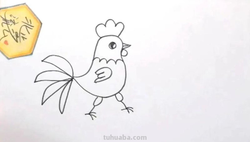 儿童简笔画教程：公鸡，简单又易学