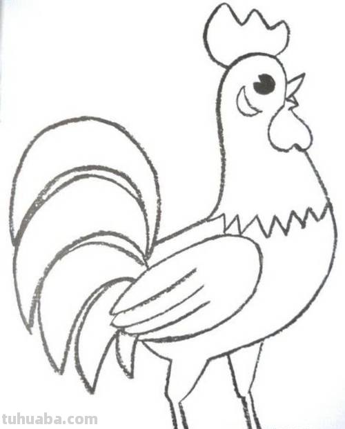 每天学一幅简笔画-大公鸡的画法