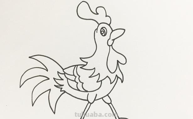 每天学一幅简笔画-大公鸡的画法