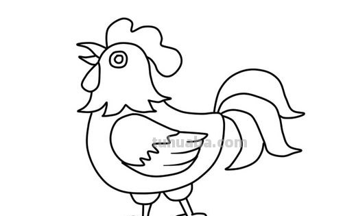 每天学一幅简笔画-大公鸡的画法