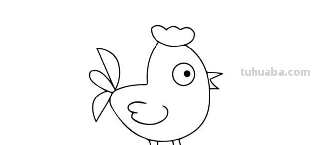 每天学一幅简笔画-大公鸡的画法