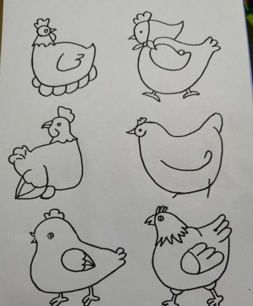 简笔画教程-手把手教你画老母鸡简笔画