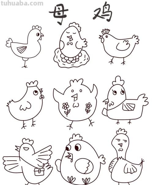 简笔画教程-手把手教你画老母鸡简笔画