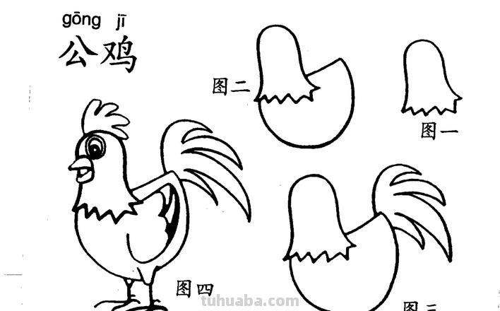 每天学一幅简笔画-公鸡简笔画步骤图片
