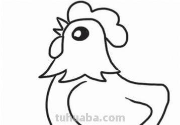 每天学一幅简笔画-公鸡简笔画步骤图片