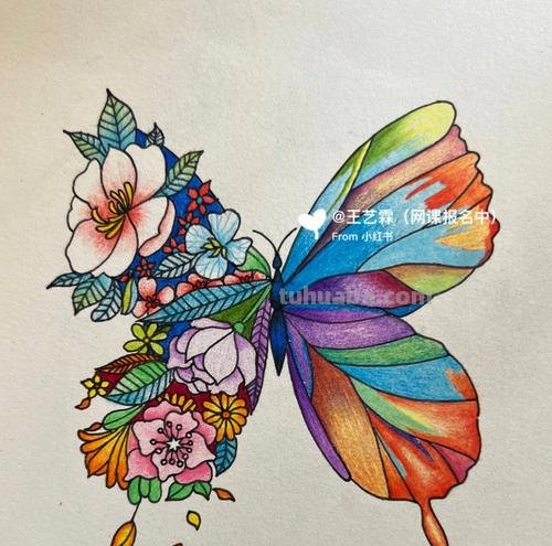 蝴蝶彩铅画 蝴蝶彩铅画图片