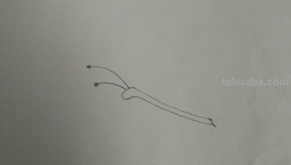 蝴蝶和花朵怎么画