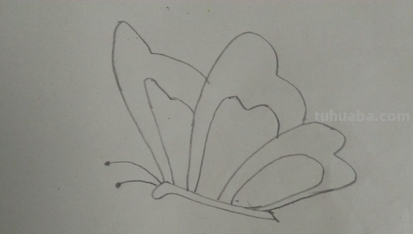 蝴蝶和花朵怎么画