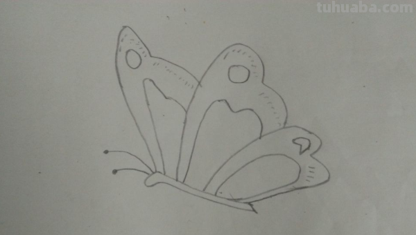 蝴蝶和花朵怎么画