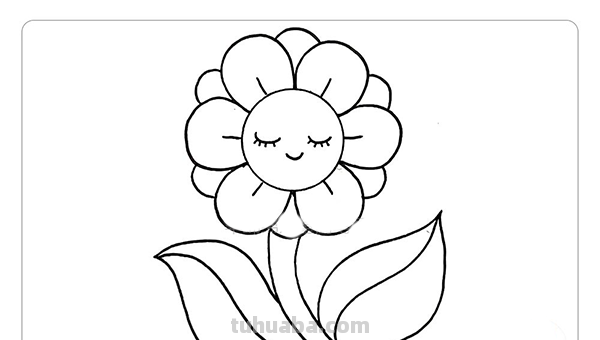 蝴蝶和花朵怎么画