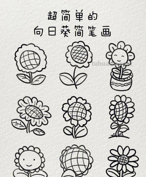 太阳花简笔画步骤教程 太阳花简笔画步骤教程