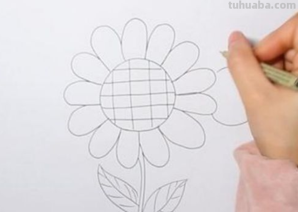 向日葵简笔画怎么画