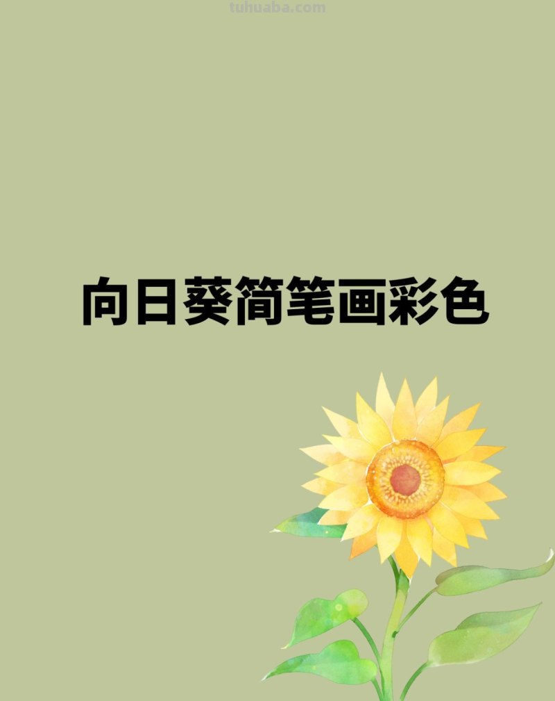 向日葵简笔画彩色