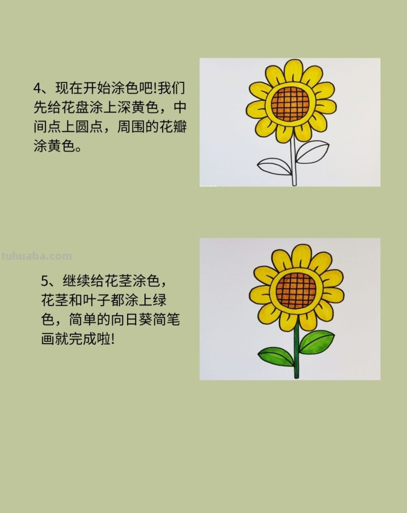 向日葵简笔画彩色