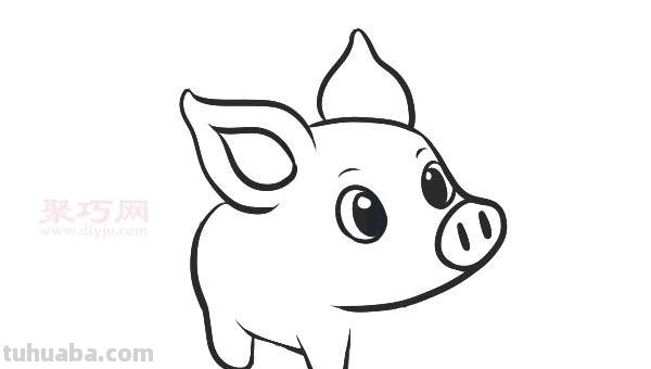 每天学一幅简笔画-小猪动物简笔画步骤图片大全
