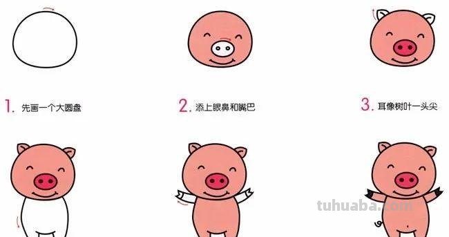 每天学一幅简笔画-小猪动物简笔画步骤图片大全