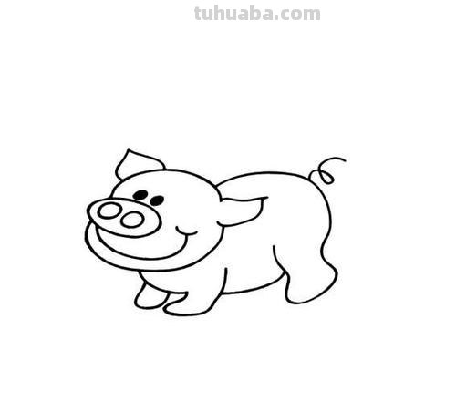 每天学一幅简笔画-小猪动物简笔画步骤图片大全