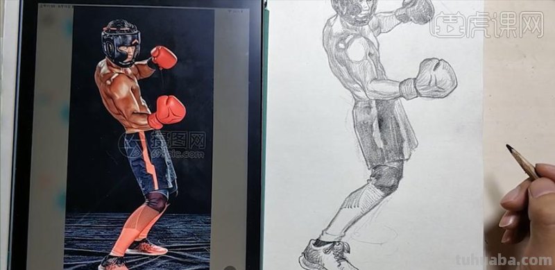 拳击背部速写 拳击手的背阔肌为什么发达?