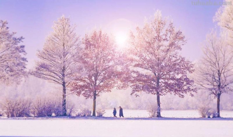 零基础如何画彩铅，教你画一幅浪漫的雪景