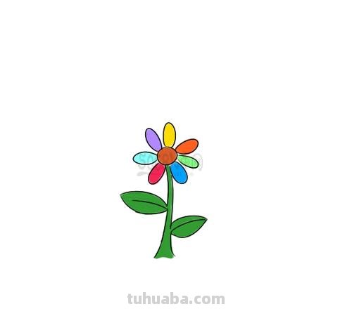 如何简单画出七色花 如何简单画出七色花图片