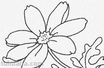 七色花怎么画