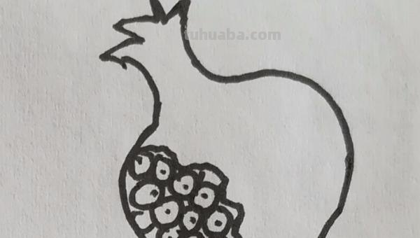 石榴怎么画简笔画图片 石榴的简笔画怎么画，一看步骤就会画？