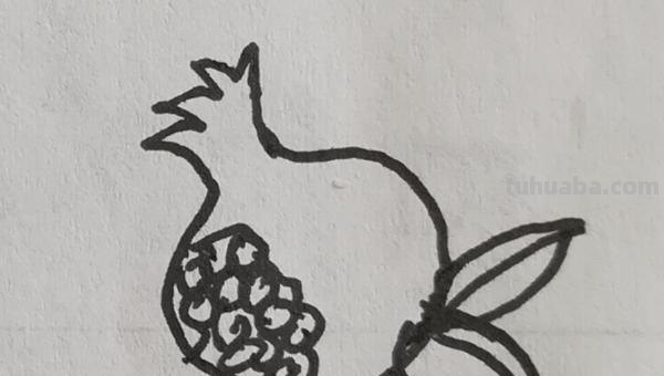 石榴怎么画简笔画图片 石榴的简笔画怎么画，一看步骤就会画？
