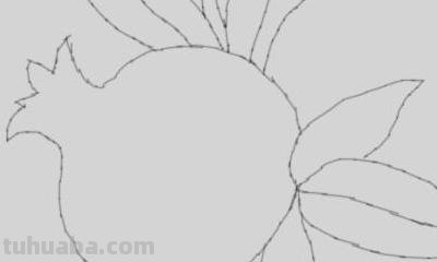 石榴怎么画简笔画图片 石榴的简笔画怎么画，一看步骤就会画？