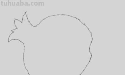 石榴怎么画简笔画图片 石榴的简笔画怎么画，一看步骤就会画？